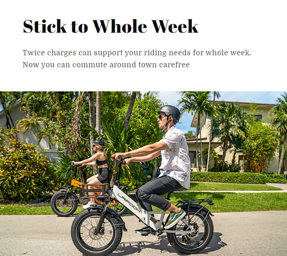 Elektrokolo LAIFOOK Cityfun S, bezkartáčový motor 250 W, baterie 48 V 10,4 Ah, tlusté pneumatiky 20 x 4,0 palce, maximální rychlost 25 km/h, dojezd 70 km, mechanická kotoučová brzda, řazení Shimano 7 rychlostí, LCD displej - černé