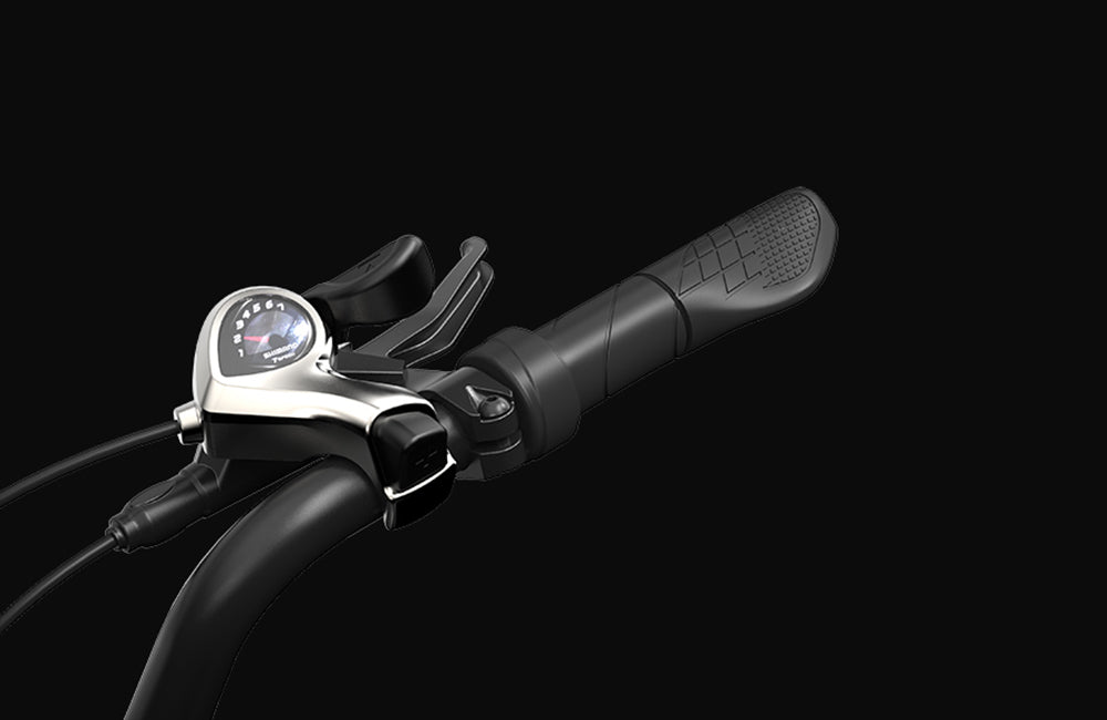 Elektrokolo PVY LS20, motor 250 W, baterie 48 V 16,5 Ah, tlusté pneumatiky 20 x 4,0 palce, maximální rychlost 25 km/h, dojezd 100 km, hydraulická brzda, uzamykatelná tlumicí vidlice, řazení Shimano 7 rychlostí, LCD displej - šedé