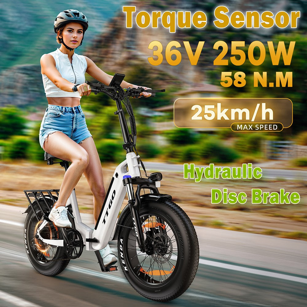 Elektrokolo TTGO F6, motor 250 W, baterie 36 V 25 Ah, pneumatiky 20 x 4 palce, maximální rychlost 25 km/h, maximální dojezd 100 km, hydraulická kotoučová brzda, přední tlumič, senzor točivého momentu, řazení Shimano 7 rychlostí, LCD displej - bílá