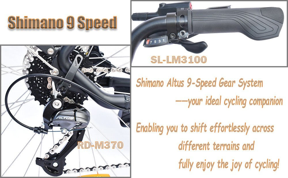Elektrokolo TTGO LK-ZZ-28ST, motor 250 W, baterie 36 V 20 Ah, pneumatiky 700 °C * 45 °C, maximální rychlost 25 km/h, dojezd 180 km, hydraulická kotoučová brzda, řazení Shimano 9 rychlostí, LCD displej - černé